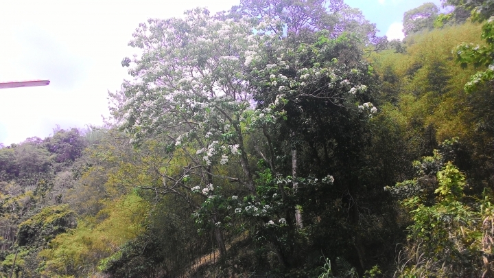 147-131-139-14乙-14-台63南投環縣之旅