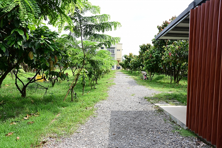 萬巒可茵山可可莊園,享受在可可園裏的可可巧克力熱帶風情。