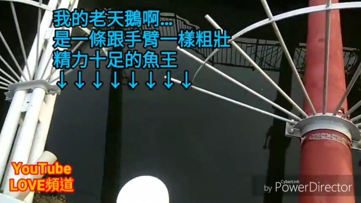 問一下鄉民!台灣有哪條『水溝』有一百條魚可抓? 我想退休了