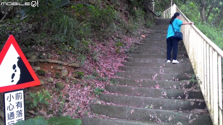 豐柏登山步道獼猴攻擊驚魂記 !!