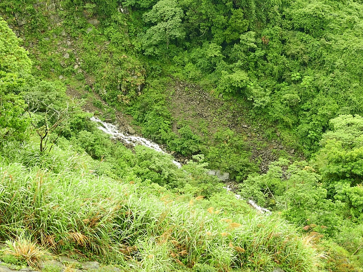 Nikon P900記錄大雨後的阿里山公路