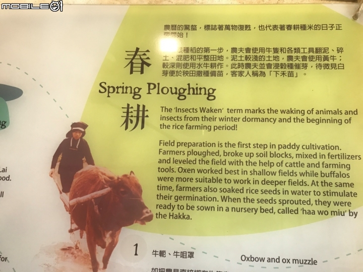 香港郊野公園健行初體驗