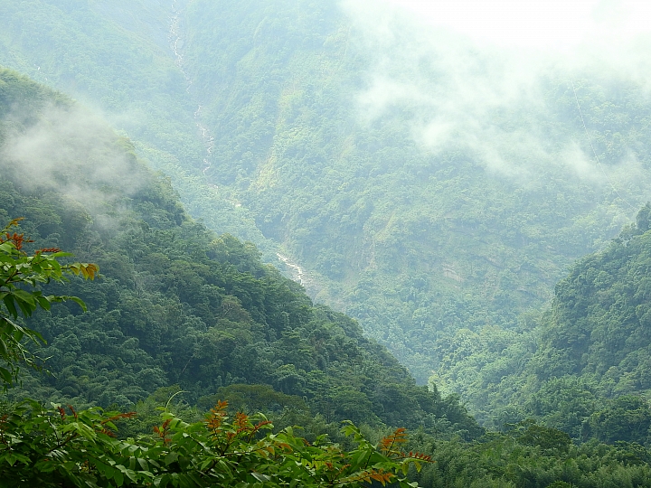 Nikon P900記錄大雨後的阿里山公路