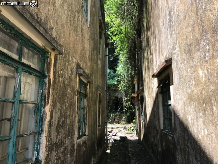 香港郊野公園健行初體驗
