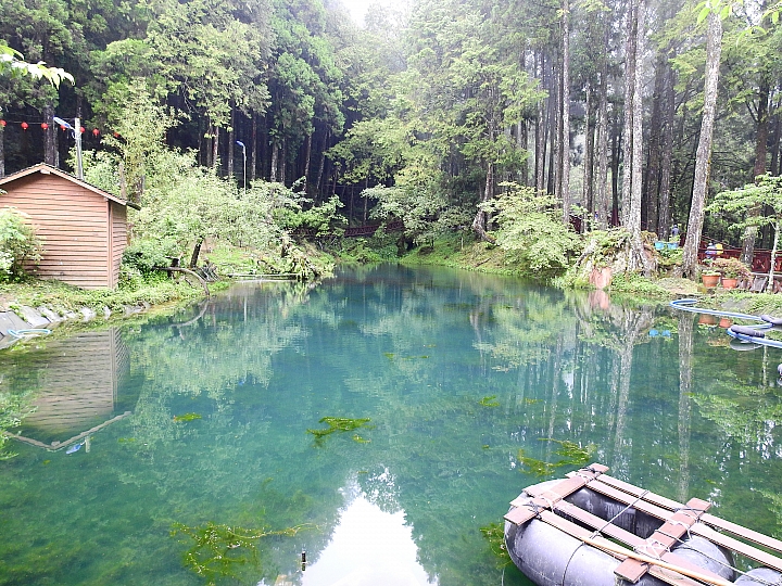 Nikon P900記錄大雨後的阿里山公路