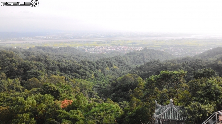 豐柏登山步道獼猴攻擊驚魂記 !!