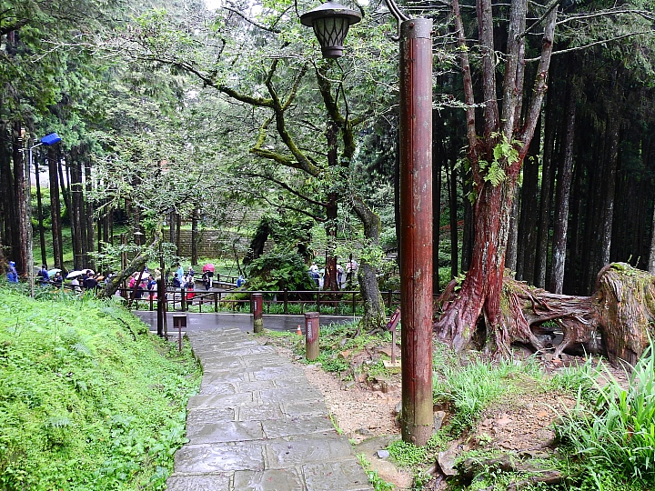 Nikon P900記錄大雨後的阿里山公路