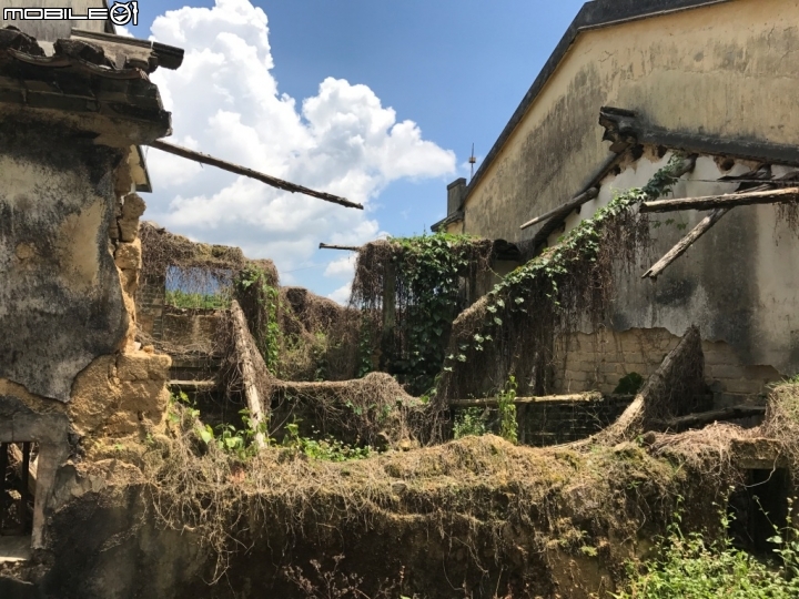 香港郊野公園健行初體驗