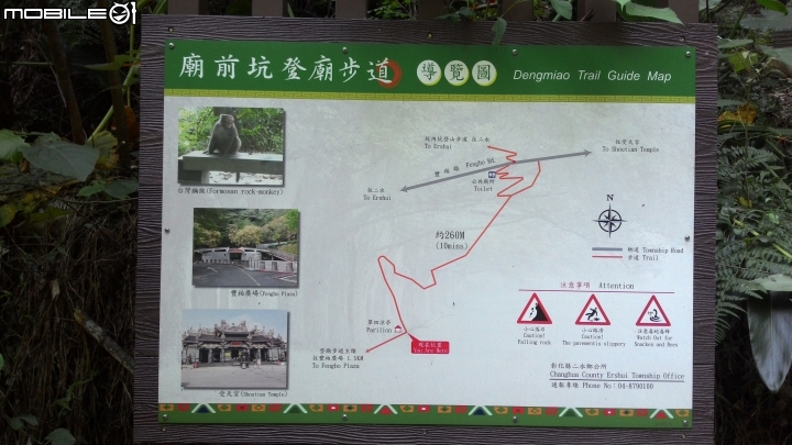 豐柏登山步道獼猴攻擊驚魂記 !!