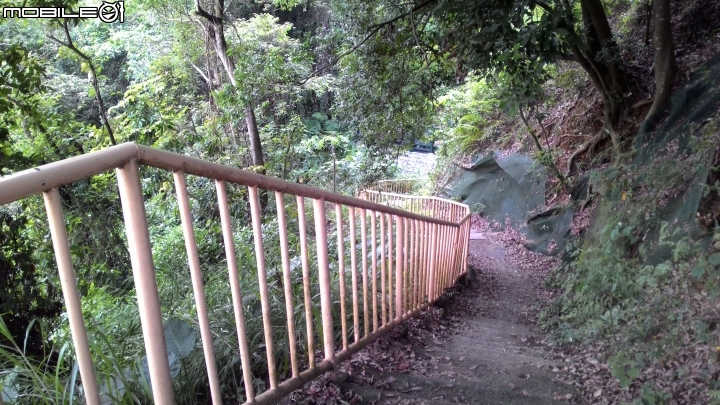 豐柏登山步道獼猴攻擊驚魂記 !!