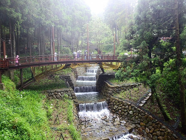 Nikon P900記錄大雨後的阿里山公路