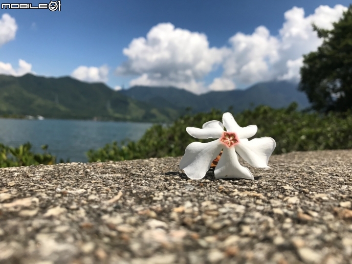 香港郊野公園健行初體驗