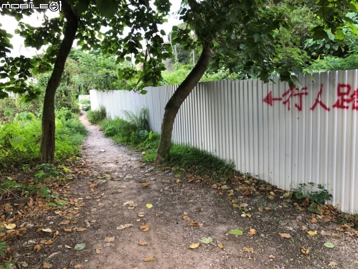 香港郊野公園健行初體驗