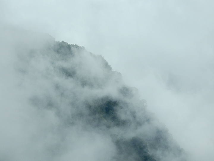 Nikon P900記錄大雨後的阿里山公路