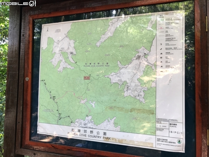香港郊野公園健行初體驗