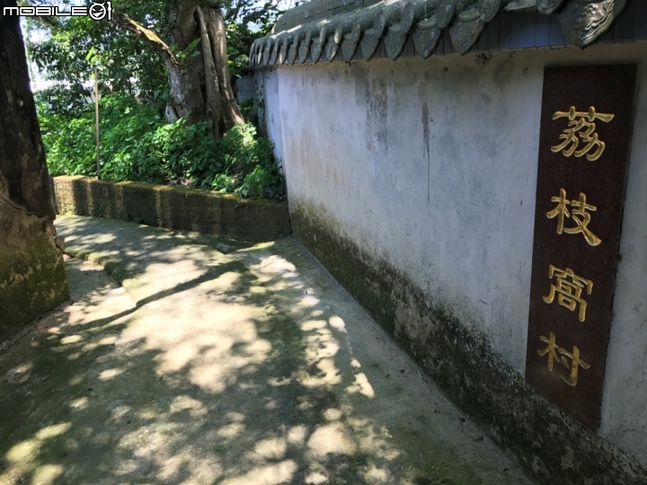 香港郊野公園健行初體驗