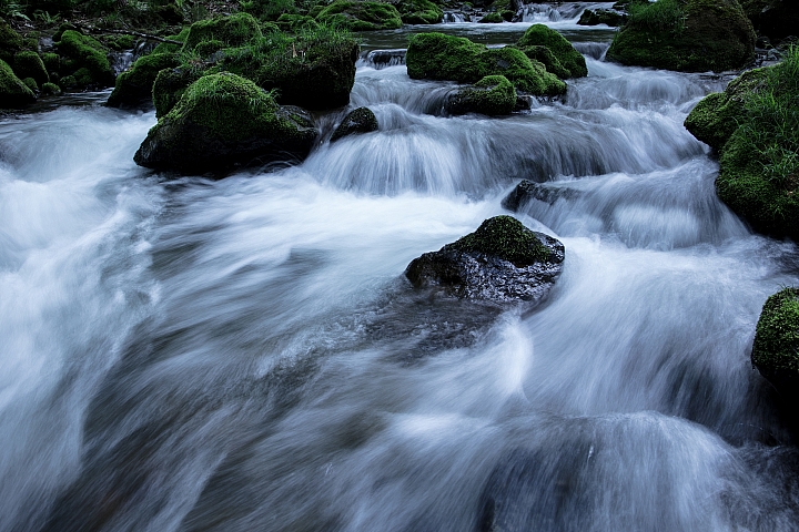 Sigma 24-70mm f/2.8 ART 官方釋出縮圖 Sigma 24-70mm f/2.8 ART 官方釋出縮圖