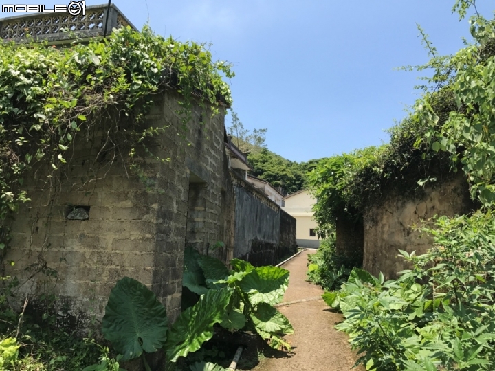 香港郊野公園健行初體驗