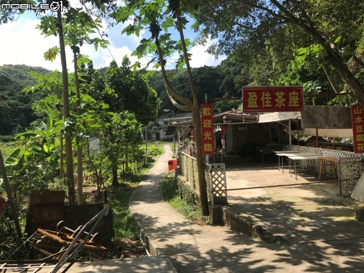 香港郊野公園健行初體驗