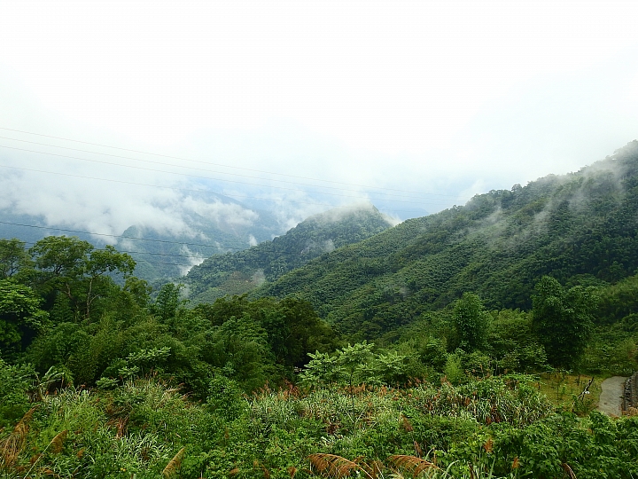 Nikon P900記錄大雨後的阿里山公路