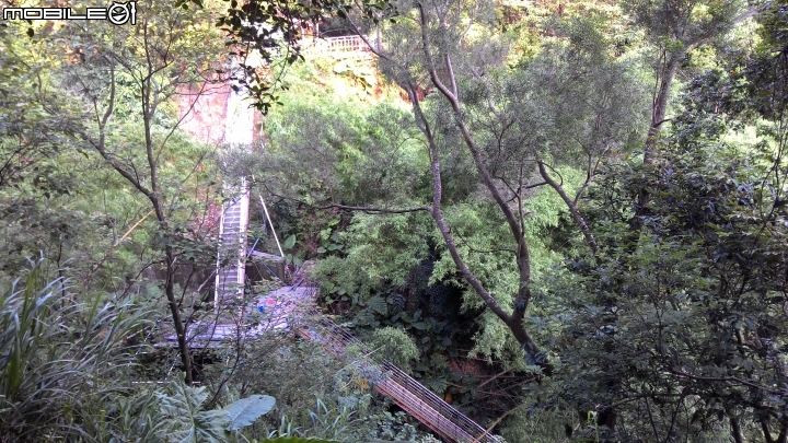 豐柏登山步道獼猴攻擊驚魂記 !!
