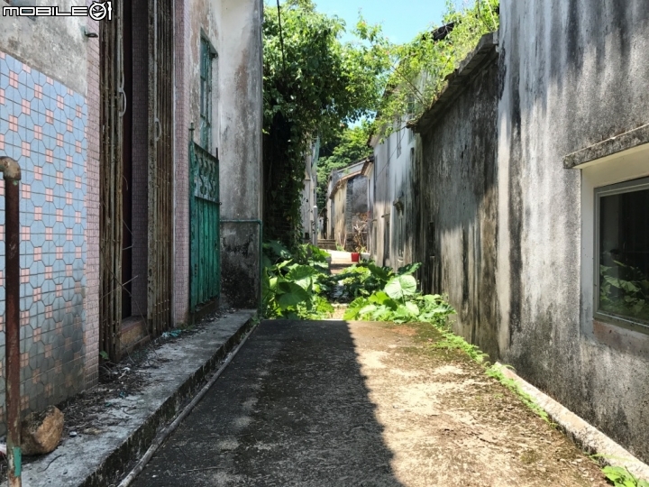 香港郊野公園健行初體驗