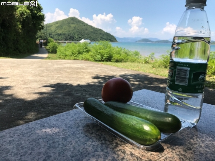 香港郊野公園健行初體驗