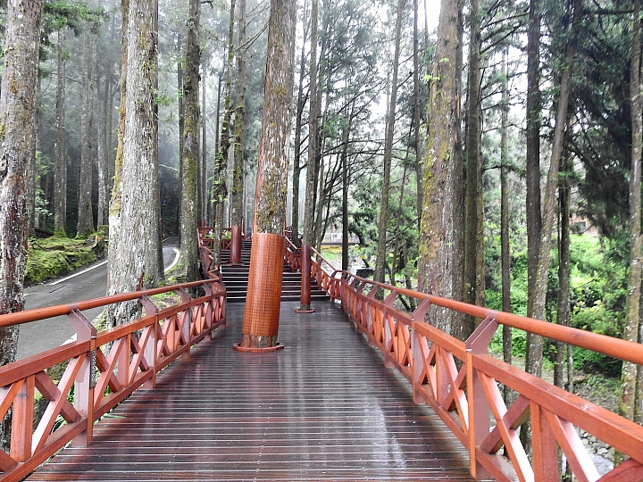 Nikon P900記錄大雨後的阿里山公路