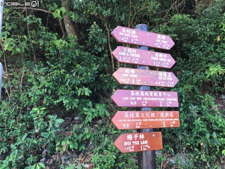香港郊野公園健行初體驗