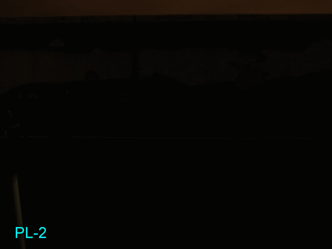 PL-2 女戰神1200流明槍燈