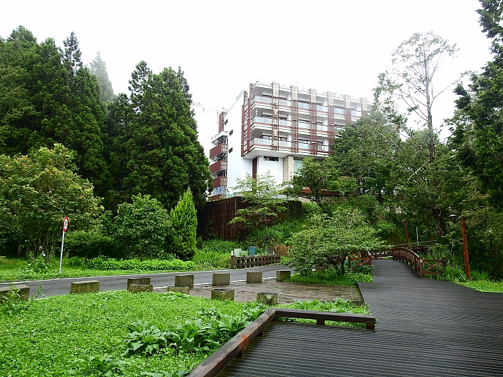 Nikon P900記錄大雨後的阿里山公路