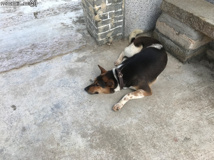 香港郊野公園健行初體驗