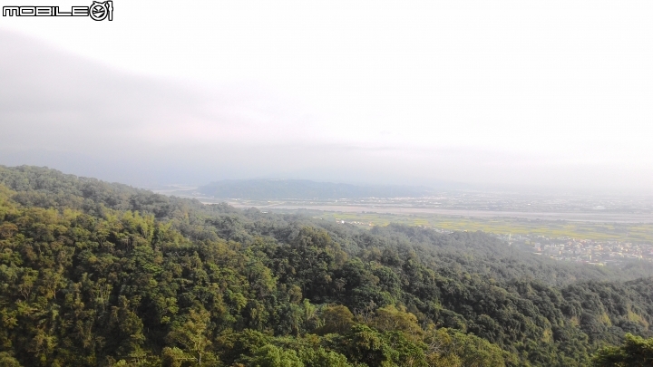 豐柏登山步道獼猴攻擊驚魂記 !!