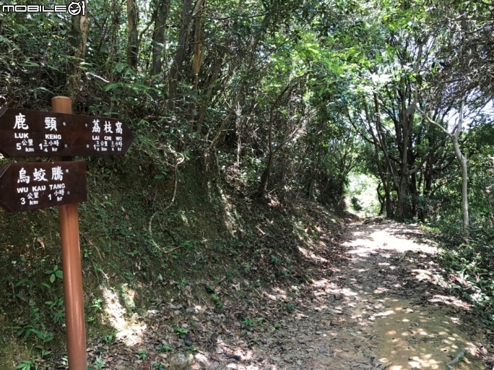 香港郊野公園健行初體驗