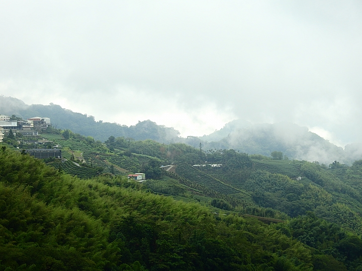 Nikon P900記錄大雨後的阿里山公路