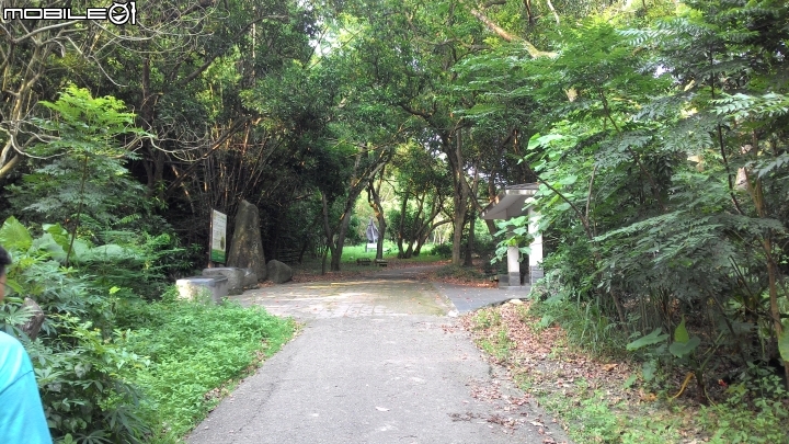 豐柏登山步道獼猴攻擊驚魂記 !!