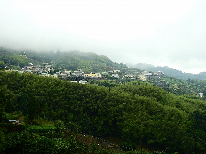 Nikon P900記錄大雨後的阿里山公路