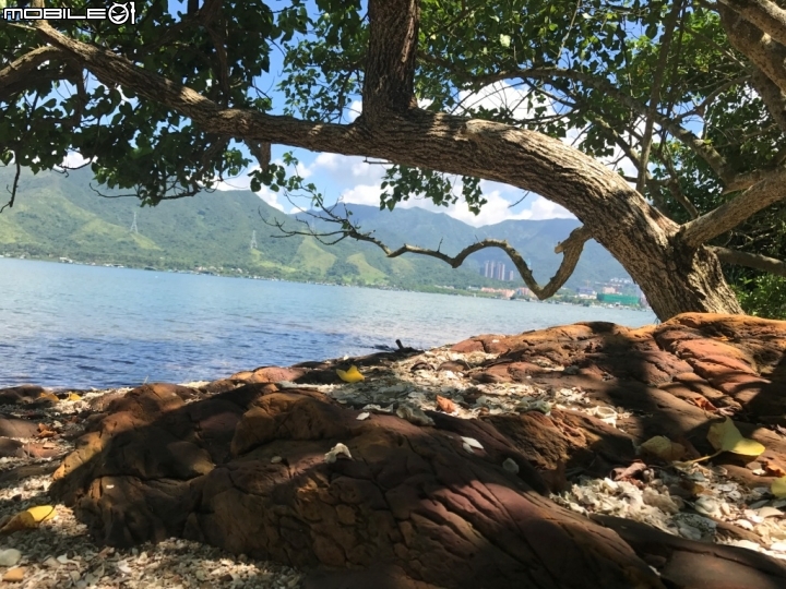 香港郊野公園健行初體驗