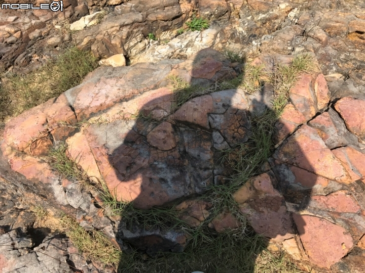 香港郊野公園健行初體驗