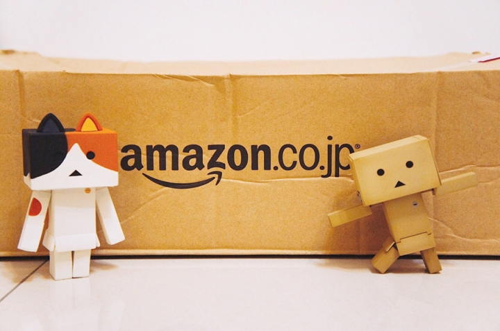 【開箱】Amazon.co.jp限定 阿愣 TRUSCO 薄型摺疊收納箱