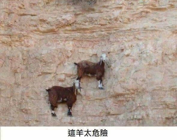 誤闖力行產業道路,真是慘裂道路,