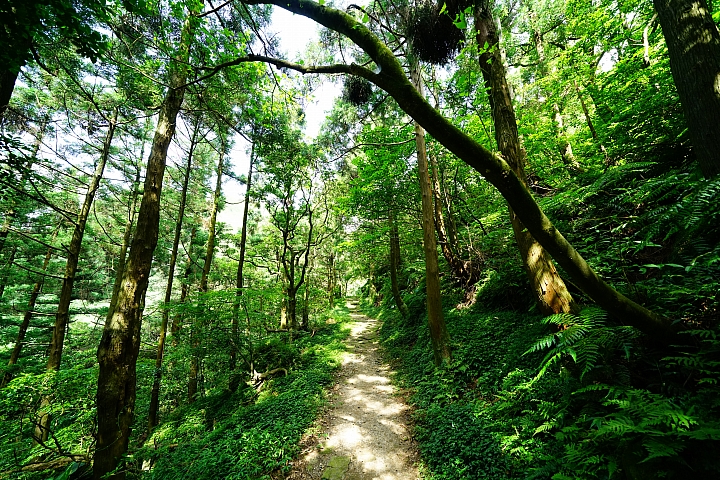 FE超廣角變焦鏡之王！Sony FE 12-24mm f/4 G