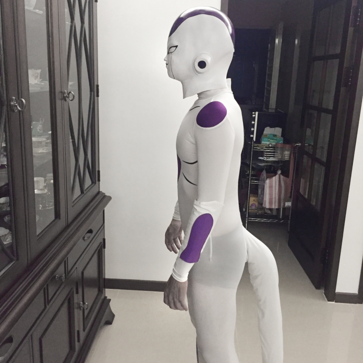 ---當北藍遇上東藍--- 佛利沙離去之F的意志