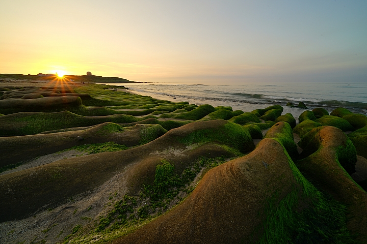 FE超廣角變焦鏡之王！Sony FE 12-24mm f/4 G