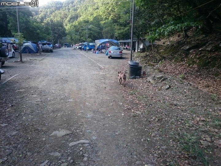 北台不錯的營地-張家莊4WD野營分享