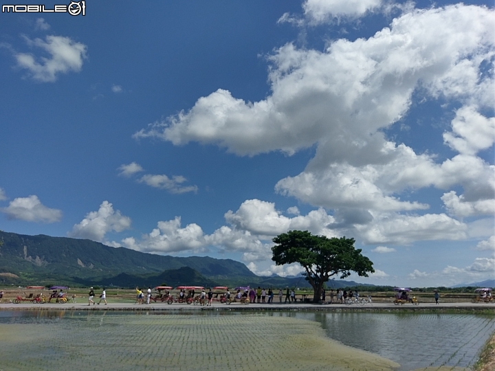 環島趣之第四度環島20170721-29