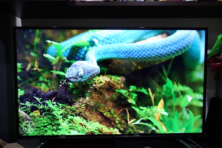 BenQ 49吋4K+HDR護眼電視49MR700開箱