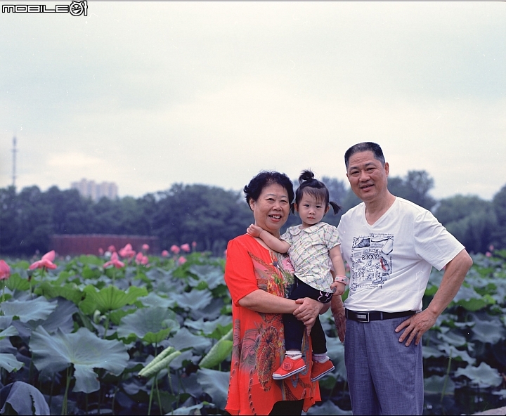 大陆人想来台湾旅游,带有老人想请介绍一条旅行线。