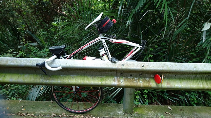 粉嶺族~一期一會三義野百合秘密花園