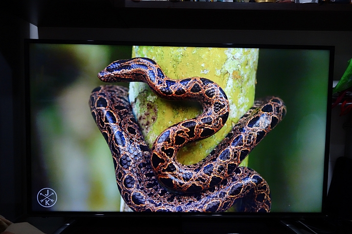 BenQ 49吋4K+HDR護眼電視49MR700開箱